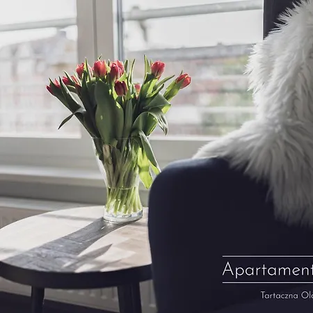 Apartment Tartaczna Old Town