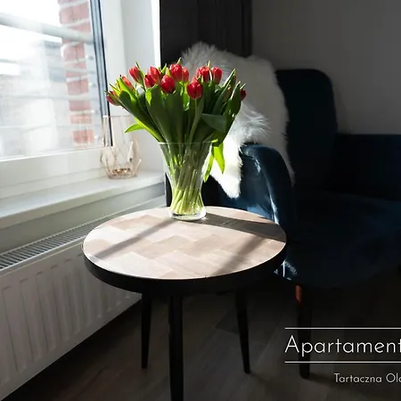 Apartment Tartaczna Old Town