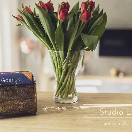 アパート タルタシナ オールド タウン *