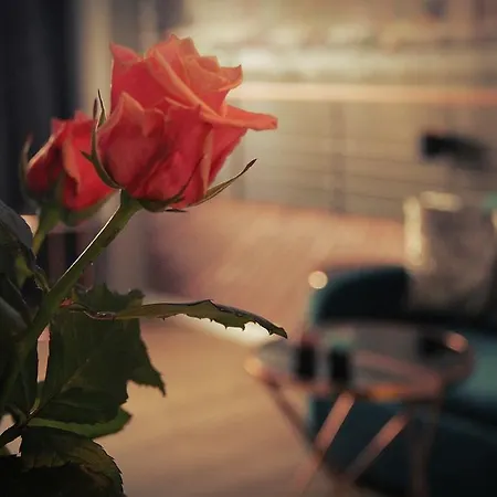 Apartmán Tartaczna Old Town Gdaňsk